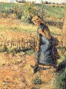 Camille Pissarro The collection of hay farmer oil on canvas